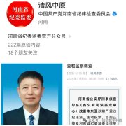 朱东亚投案：曝出河南新乡顶着35项违法行为“远